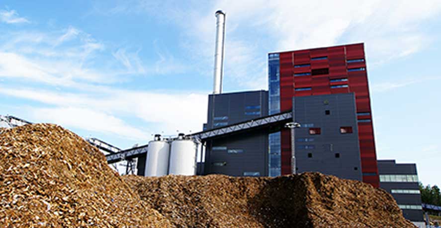 Biomass processing plant as a renewable energy source